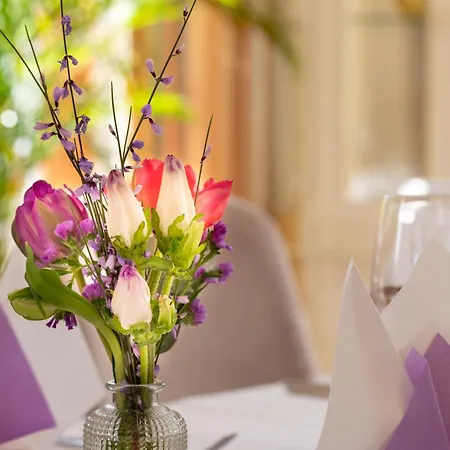 Hotel Hotel-restaurant Am Koenigshof Viernheim