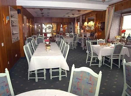 Hotel-restaurant Am Koenigshof 4* Viernheim