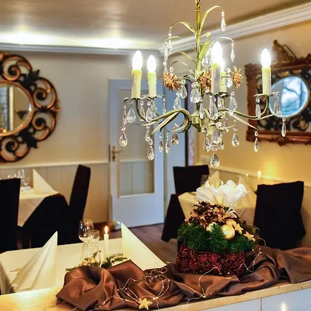 Hotel-restaurant Am Koenigshof 4* Viernheim
