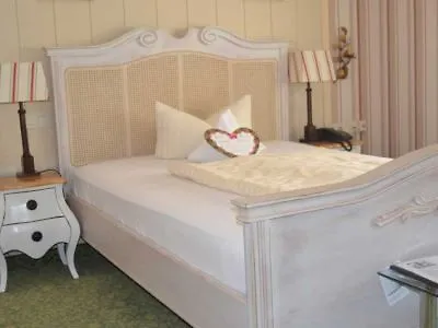 Hotel Hotel-restaurant Am Koenigshof